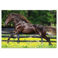 Galloping, 500 Piece Jigsaw Puzzle