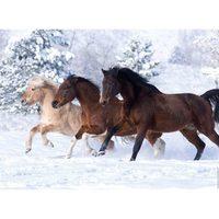 Gallop In The Snow Jigsaw Puzzle