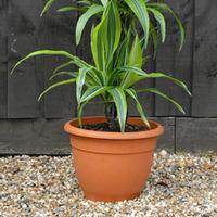 Garden Pot - 4 pots