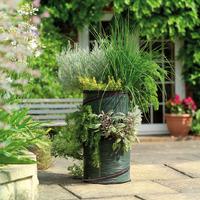 Gardman Herb Pop Up Planter