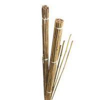 Gardman Bamboo Canes (W)55mm (H)1.84m
