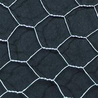 Galvanised Wire Netting. 13mm mesh. Each