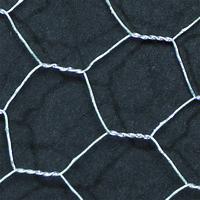 Galvanised Wire Netting. 25mm mesh. Each