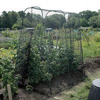 Gardman Gardman Walk in Crop Cage