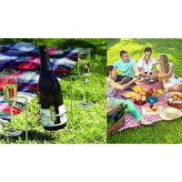 garden picnic wine bottle and glass holder