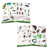 Garden Bugs and Beasties Fold Out Chart