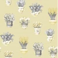 Galerie Wallpapers Potted Plants , FK34420