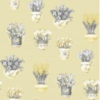 galerie wallpapers potted plants fk34420