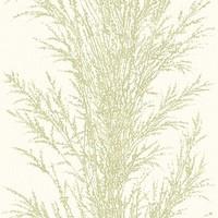 Galerie Wallpapers Pampas Grass Green, LU06039