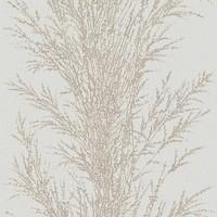 Galerie Wallpapers Pampas Grass Grey, LU06066