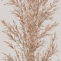 Galerie Wallpapers Pampas Grass Brown, LU06084