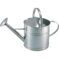 Galvanized Sheet Watering Can 9L