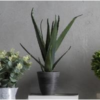 gallery direct faux aloe 51cm set of 4