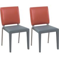 Gautier Graphite Seat with Garnet Pink Rectangular Back Dining Chair (Pair)