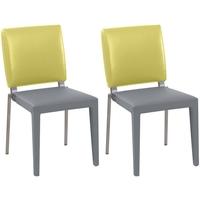 Gautier Graphite Seat with Limewood Rectangular Back Dining Chair (Pair)