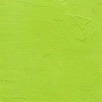 gamblin artist oil 37ml cadmium green