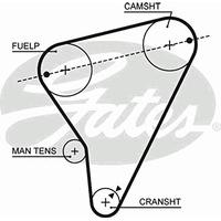 Gates 5023 Timing Belt