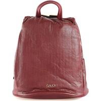 Gaudi V6AI-70034 Zaino Accessories women\'s Backpack in Other