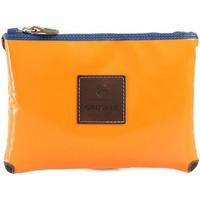 Gabs LARA-I16 TETU Pochette Accessories women\'s Clutch Bag in orange