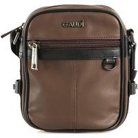 Gaudi V6AI-68804 Across body bag Accessories Brown women\'s Shoulder Bag in brown