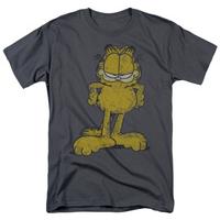 Garfield - Big Ol\' Cat