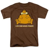 Garfield - I Ate Your Honor Student