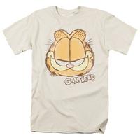 garfield water color cat