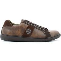 Gaudi V52 64551 Sneakers Man men\'s Shoes (Trainers) in brown