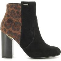 Gaudi V64-64595 Ankle boots Women women\'s Mid Boots in black