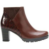gabor calista womens ankle boots womens low ankle boots in brown