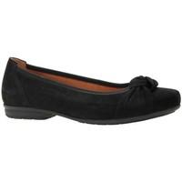 Gabor Ashlene Womens Casual Shoes women\'s Shoes (Pumps / Ballerinas) in black