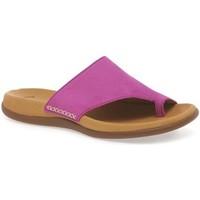 Gabor Lanzarote Toe Loop Womens Mules women\'s Flip flops / Sandals (Shoes) in pink
