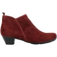 gabor trudy womens ankle boots womens low ankle boots in red