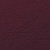 GBC 250G LEATHER COVERS PLN BURG P100