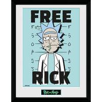 Gb Eye Rick & Morty Free Rick Maxi Framed Print