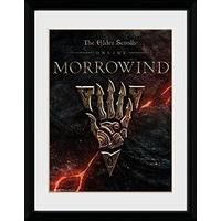 Gb Eye Ltd Gb Eye, Elder Scrolls Online Morrowind, Logo, Framed Poster 30x40