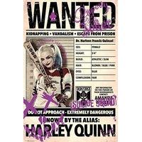 Gb Eye Ltd, Suicide Squad, Harley Wanted, Maxi Poster, 61 x 91.5cm