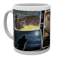 Gb Eye Harry Potter, Magical Creatures, Mug, Various