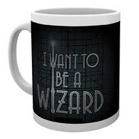 Gb Eye Fantastic Beasts, I Want To Be A Wizard, Mug, Various