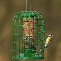 gbs exclusive premium peanut feeder with guardian small