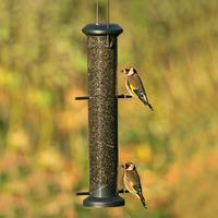 GBS Exclusive Classic Niger Seed Feeder