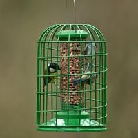 GBS Exclusive Classic Peanut Feeder with Guardian - Small