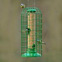 gbs exclusive classic seed feeder with guardian medium