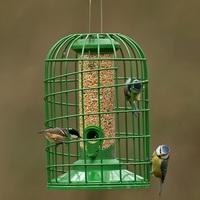 gbs exclusive classic seed feeder with guardian small