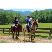 Georgia Horseback Ride with Wine Tasting