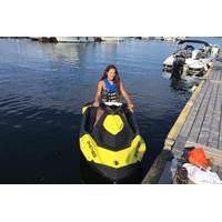 Georgian Bay Jet Ski Hourly Rental