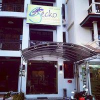 gecko guest house