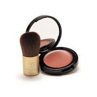 Genie Make Me Blush: Shimmer-free Face Glow & Brush