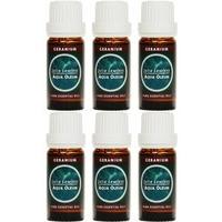 geranium essential oil 10ml x 6 pack