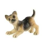 German Shepherd Puppy Rocky